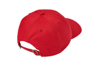 SANDLOT | KANSAS CITY ARCH DAD HAT | RED Sandlot