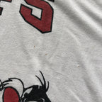 WESTSIDE STOREY VINTAGE | VINTAGE 90'S LOONEY TUNES BUGS, TAZ, SYLVESTER CHIEFS T-SHIRT - Westside Storey